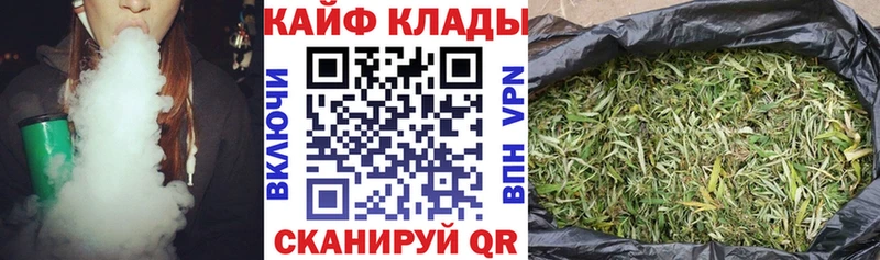 Псилоцибиновые грибы Чебоксары