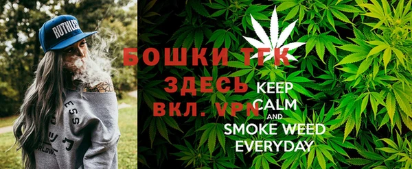 мдпв Горно-Алтайск