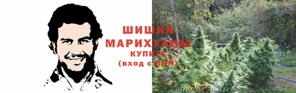 мдпв Горно-Алтайск