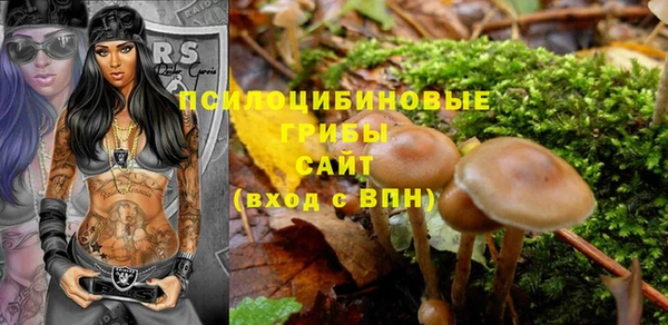 гидропоника Горнозаводск