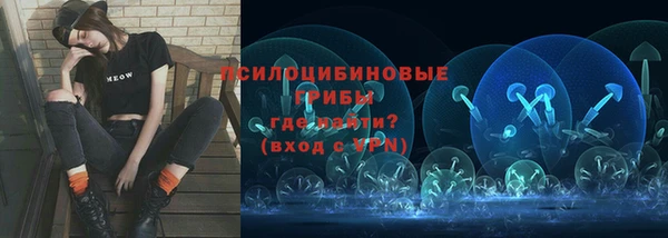 гидропоника Горнозаводск
