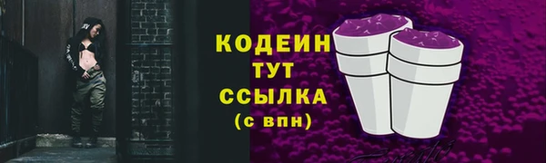 гидропоника Горнозаводск