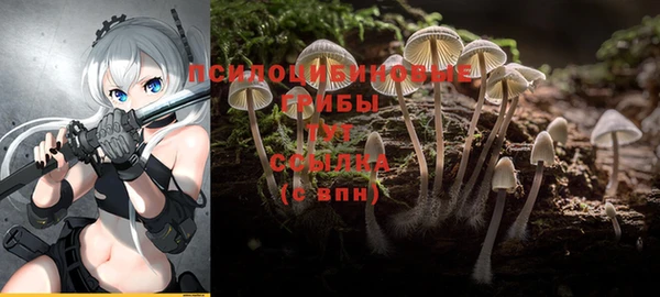 гидропоника Горнозаводск